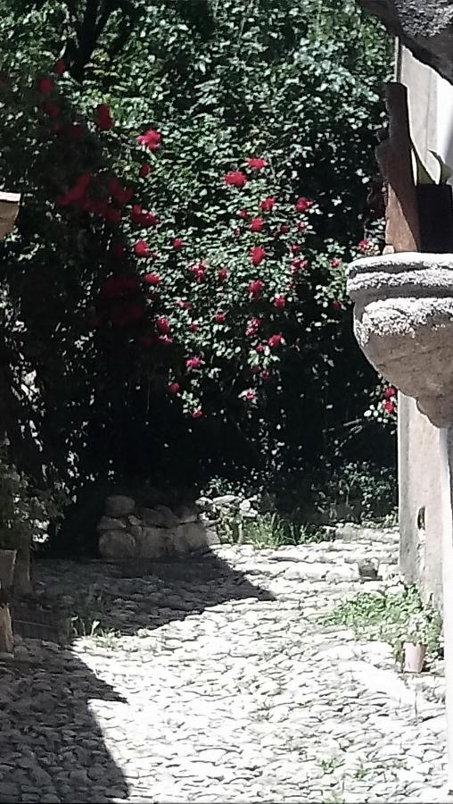 Le Pontin Villa Mane  Exterior photo